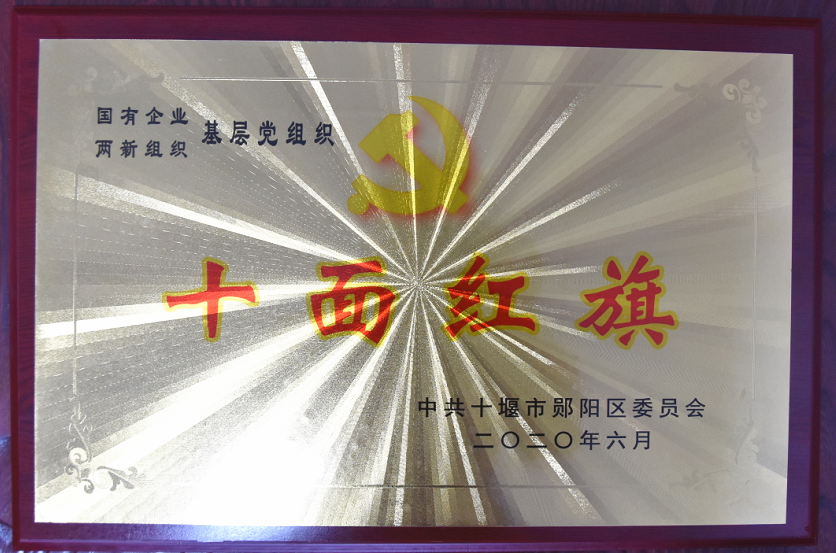 基層(ceng)黨組(zu)織“十(shi)面紅(hong)旗”2020