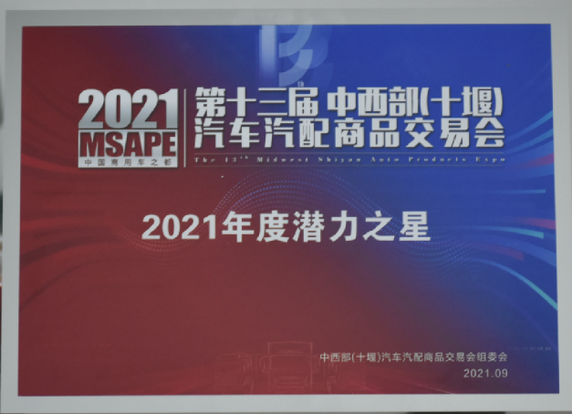 第十三屆(jie)中西部十(shi)堰展會-潛(qian)力之星