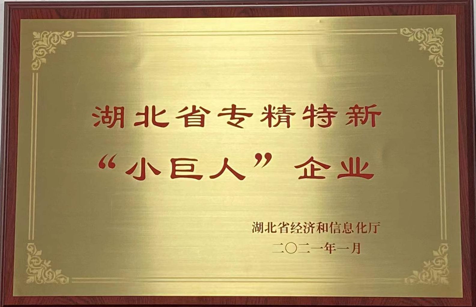 湖北(bei)省專(zhuan)精特(te)新小(xiao)巨人(ren)