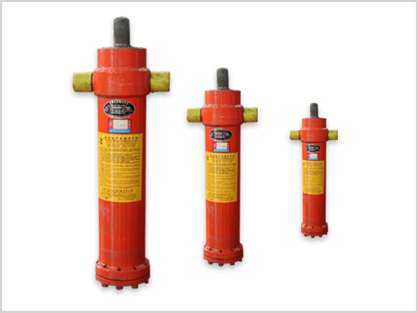 腹(fu)舉式--TG110系(xi)列