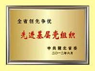 先(xian)進基層(ceng)黨組織(zhi)