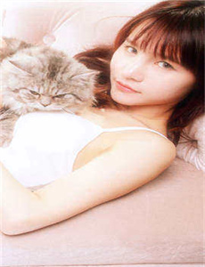 《安城安娜-超胆侠百度影音》